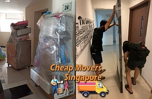 house movers singapore