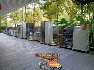 safe movers