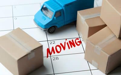 Your Guide to Choosing the Best Professional Moving Company in Singapore