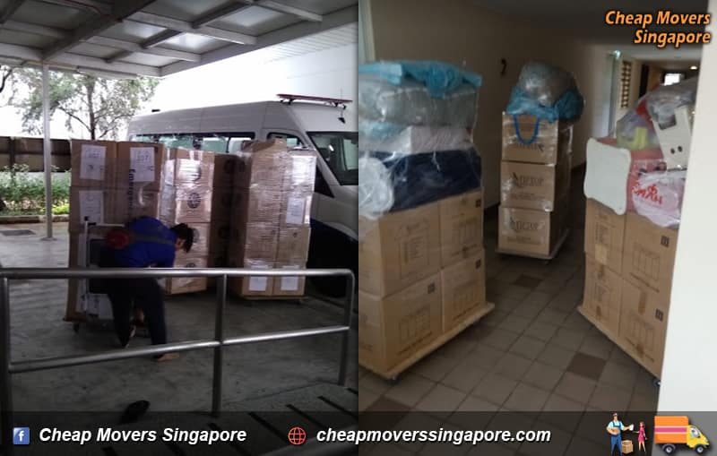professional-movers-singapore