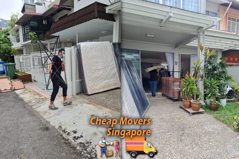 movers sg